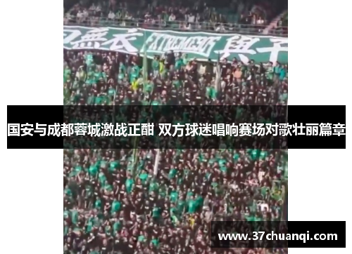 国安与成都蓉城激战正酣 双方球迷唱响赛场对歌壮丽篇章