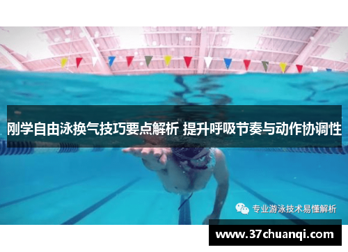 刚学自由泳换气技巧要点解析 提升呼吸节奏与动作协调性
