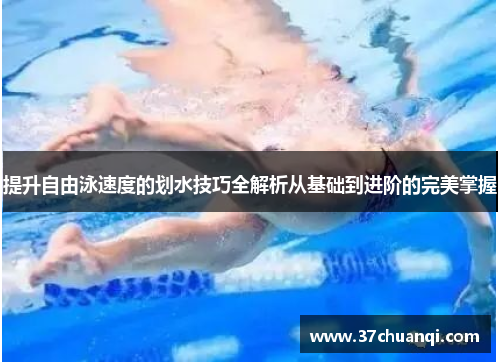提升自由泳速度的划水技巧全解析从基础到进阶的完美掌握