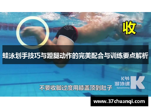 蛙泳划手技巧与蹬腿动作的完美配合与训练要点解析