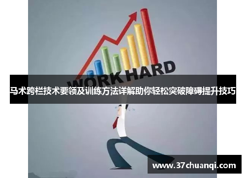 马术跨栏技术要领及训练方法详解助你轻松突破障碍提升技巧
