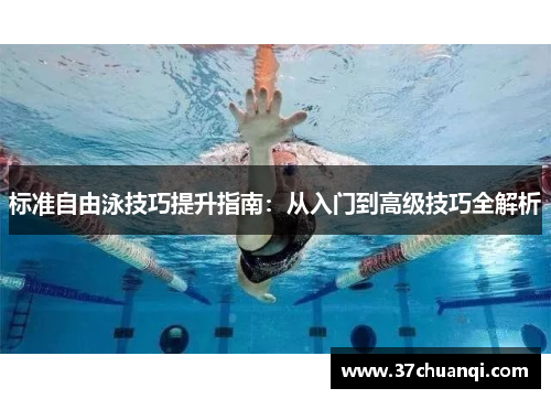 标准自由泳技巧提升指南：从入门到高级技巧全解析